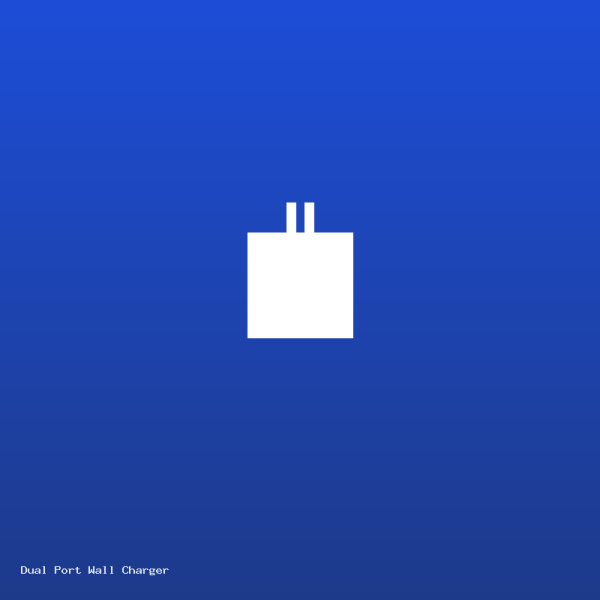 Dual Port Wall Charger